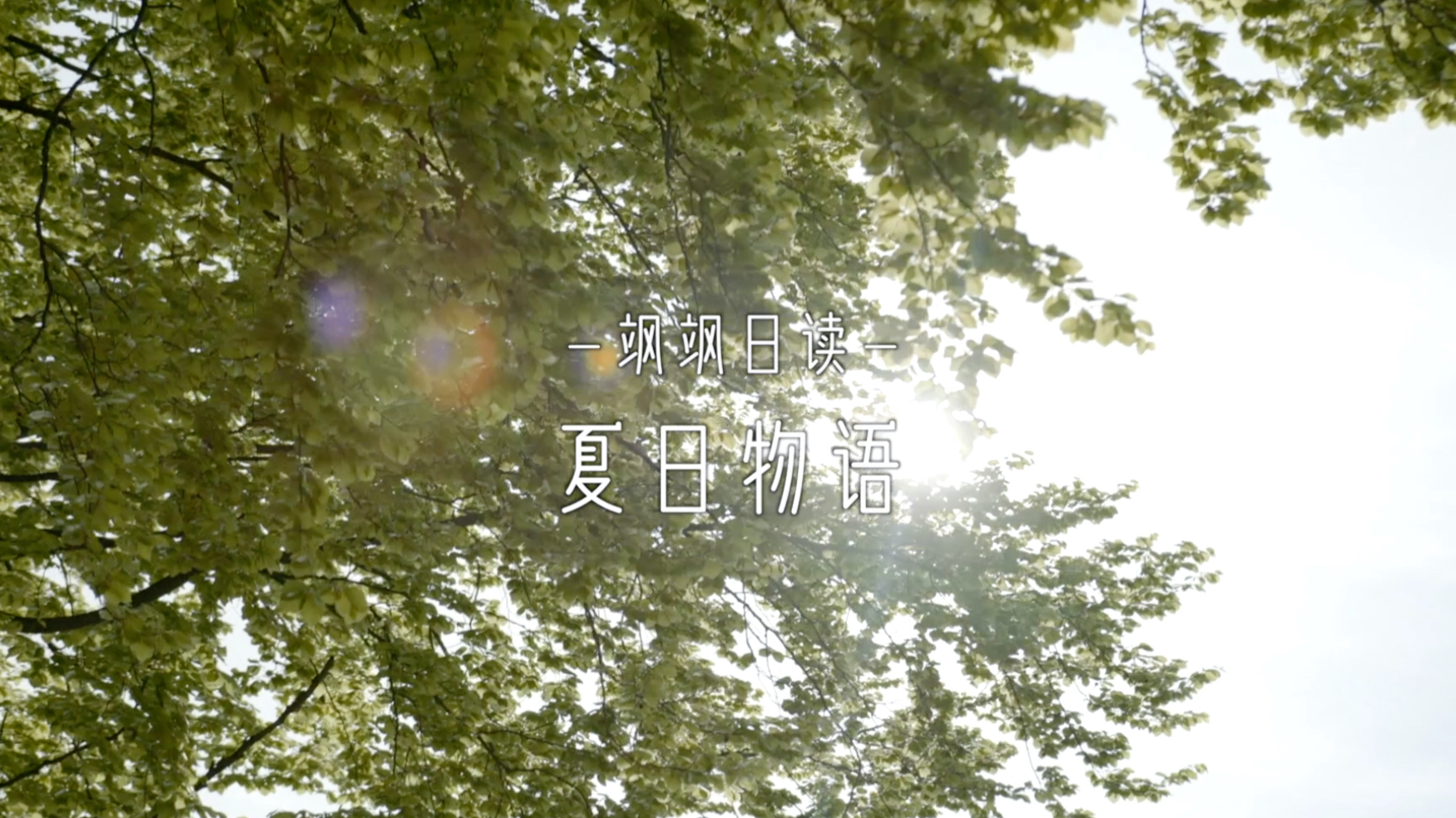 【夏日物语】100年后 1000年后,夏天的炎热还是无法阻止吧